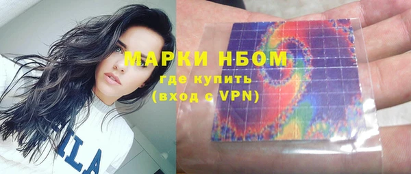 крисы Алзамай
