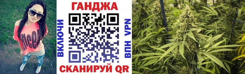 Бошки Шишки планчик  Новая Ладога 